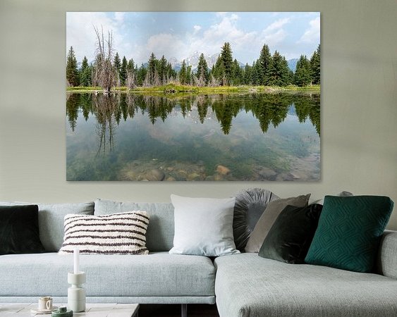 Aperçu de la chambre