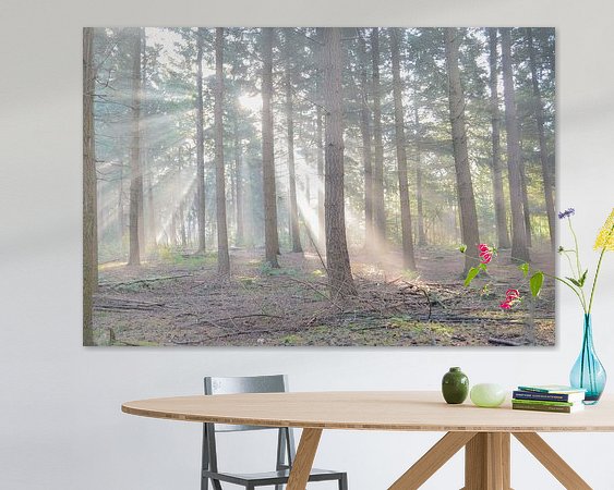 Aperçu de la chambre