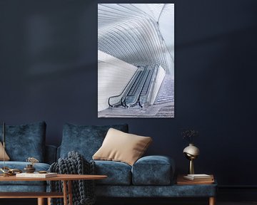 Architectuur Liège-Guillemins, station Luik, ontworpen door Calatrava. van Shaquille Maarschalkerweerd