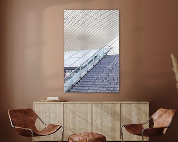 Architectuur Liège-Guillemins, station Luik, ontworpen door Calatrava. van Shaquille Maarschalkerweerd