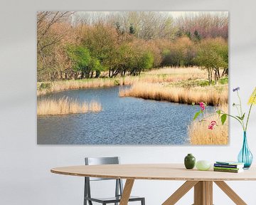 Mooi en rustig landschap