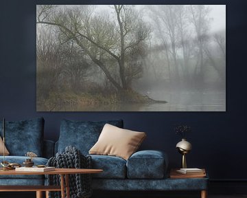 Misty morning by René Jonkhout
