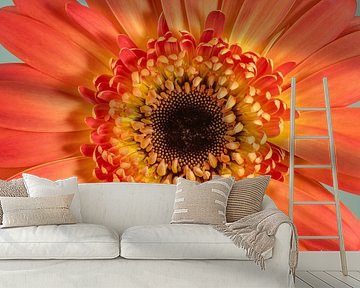 Just a flower! by Marjolijn van den Berg