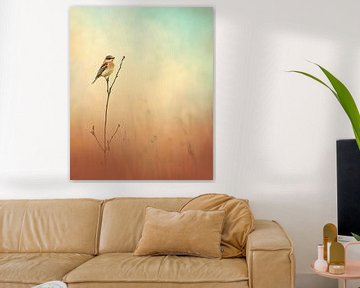 Vogel tussen kleurrijke mist van But First Framing