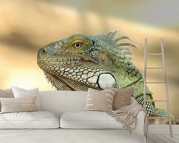 Een krachtige verschijning van een leguaan in Curaçao van Amber Valerie Nijdam