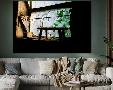 Nature's Window – Plants Reclaim the Decay by InfiniteArtLabs