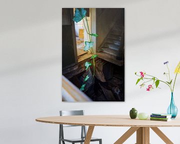 Green Hope – Nature Thrives in Decay by InfiniteArtLabs