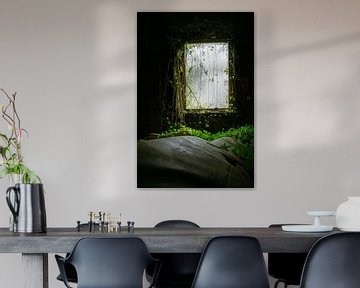 Window of Reclamation – Nature vs. Decay by InfiniteArtLabs