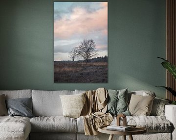Pink Clouds, Ginkel Heath Netherlands by Imladris Images