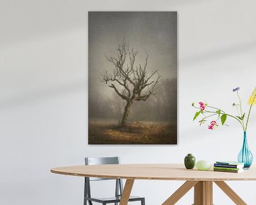 Solitaire boom van Dan Courtice