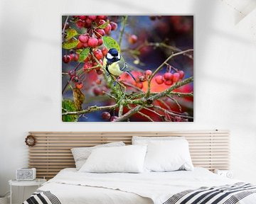 Great tit in an apple tree by ManfredFotos