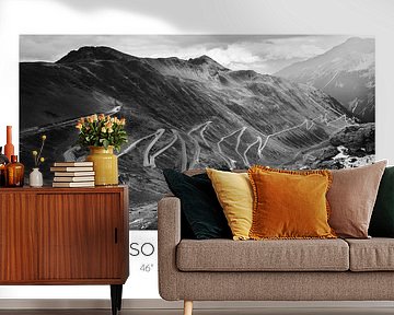 Passo della Selvio | Grafikposter mit Koordinaten von Laura Dijkslag