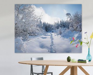 wandelpad door het prachtige winterbos