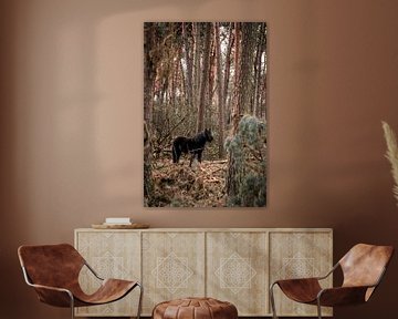 Black Shadow in the Woods Horse in a Rustic Winter Forest by Femke Ketelaar