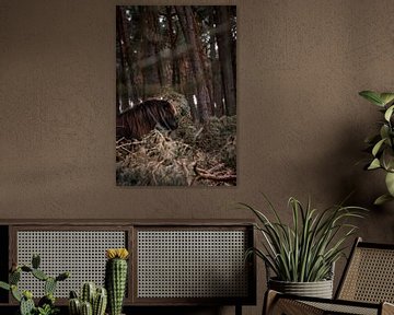 Dark Beauty in the Forest Horse in a Mystical Forest setting by Femke Ketelaar