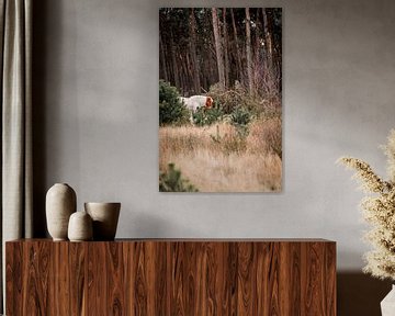 Tranquil Forest Walk Horse among Pine Trees by Femke Ketelaar