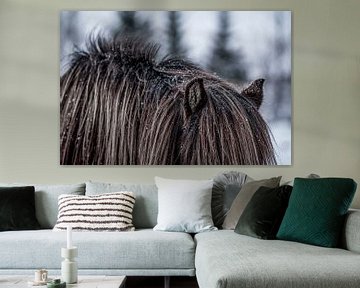 Winterstilte Paardenvacht in Bevroren Landschap van Femke Ketelaar