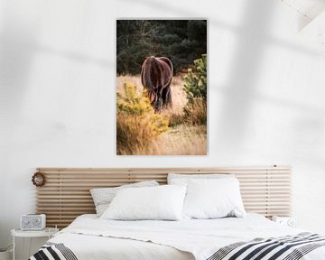 Sunk in Nature Rustic Horse in Autumn Ambience by Femke Ketelaar