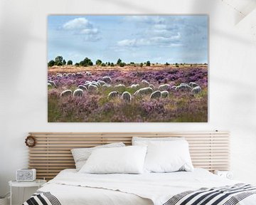 Sheep flock on flowering heathland by Teuni's Dreams of Reality
