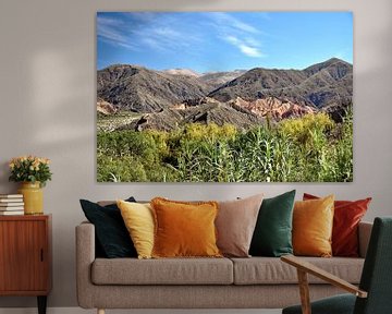 Purmamarca, het kleurrijke juweel van Quebrada de Humahuaca van Frank Photos