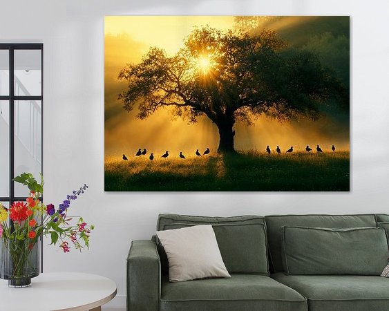 Aperçu de la chambre