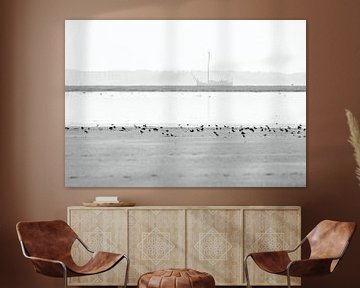 Vogels op het Westerstrand van Schiermonnikoog van Signatuur Fotografie
