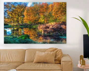 Lac d'automne dans le parc animalier