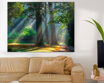 Rays of light through the morning mist