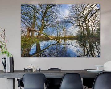 Appelbergen nature reserve - Glimmen (Netherlands) by Marcel Kerdijk