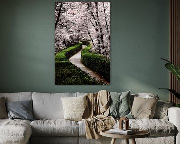 Sprookjesachtig wandelpad van Jantien Goudzwaard