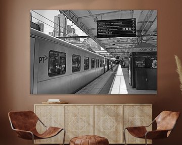 Train at Flinders