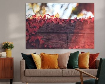Rode wijnbladeren op een houten muur in het middaglicht van stewic_