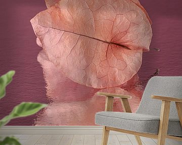 Pop of Colour: Old rose petals of a Bougainvillea with pink - purple background by Marjolijn van den Berg