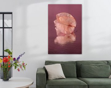 Pop of Colour: Oudroze blaadjes van een Bougainvillea met roze - paarse achtergrond van Marjolijn van den Berg