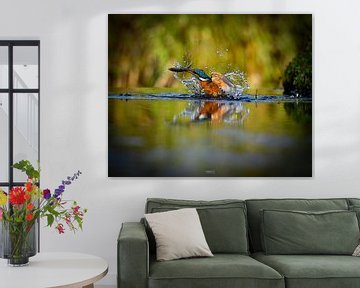 ijsvogel met vis in het water van Tomasz_best_shots