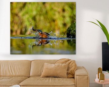 ijsvogel met visje uit het water van Tomasz_best_shots