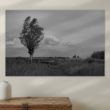 Venez vous asseoir dans le Wieden sur Framed by Elisabeth