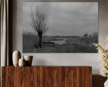 Komm und setz dich in die Wieden von Framed by Elisabeth