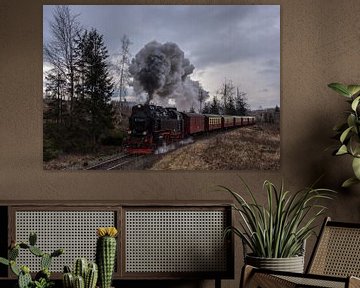 Harzer Schmalspurbahnen 99-7240 Brockenbahn van Marcel Timmer