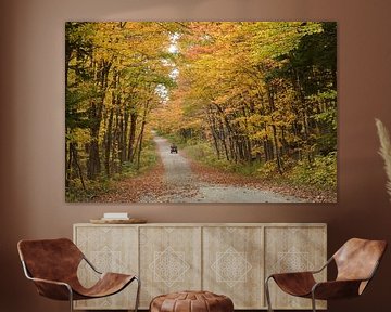 A country road in autumn by Claude Laprise