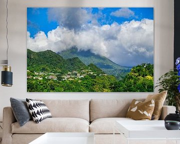 Vue de la côte de la Dominique et de la jungle