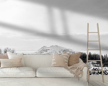 Winter Silence Monochrome Landscape by Femke Ketelaar