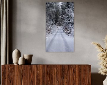 Traces dans la neige