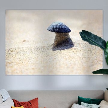 Schelp op een torentje van zand