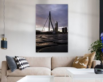 Erasmusbrug & Zalmhaventoren