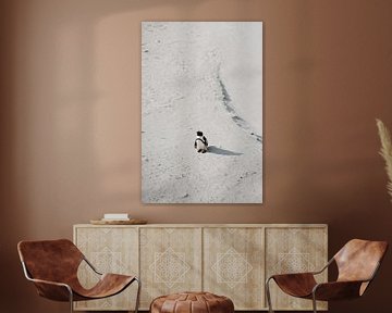 Penguin in Cape Town by Inge Bouw