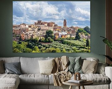 View over the historic centre of Siena in Italy by Rico Ködder