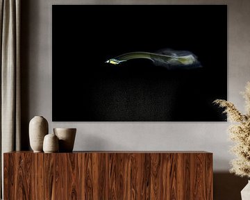 Le vol d'une grande mésange.