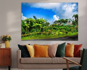 Het Grand Etang National Park is een natuurreservaat in Grenada van Andreas Völkel