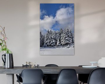 A snowy forest after the storm by Claude Laprise